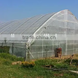 Plastic Film Covered Horticultural Greenhouse thumbnail-2