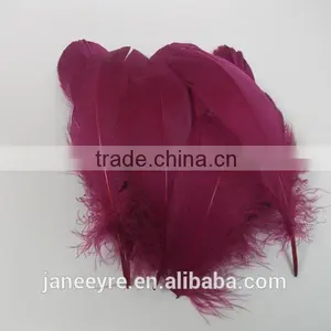 Wholesale Colorful Rooster Feather FH5014 thumbnail-3