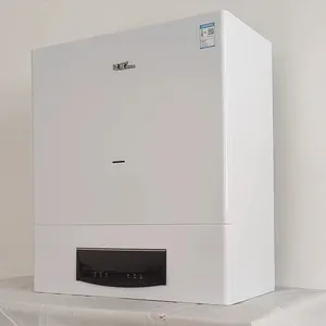 Wall Mounted Gas Boiler Industrial Boiler for Heating thumbnail-2