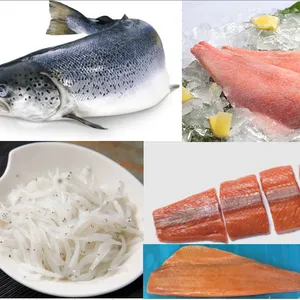 Hand Foods (Dalian) Co., Ltd. company overview - view 4 thumbnail