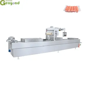 Shanghai Genyond Automatic Thermoforming Vacuum Packaging Machine thumbnail-5