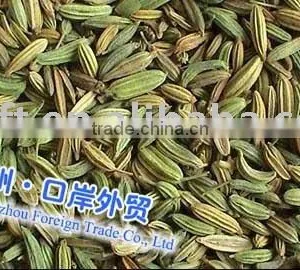 Fennel Fruit thumbnail-1