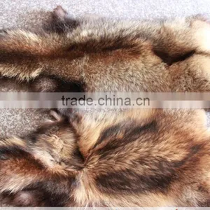 Dark Natural Color Real RaccooN Fur Collar for Hood OF Coats DIy Material thumbnail-4