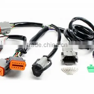 OEM China Manufacturers Customized Auto Car Radio Wire Harness thumbnail-3