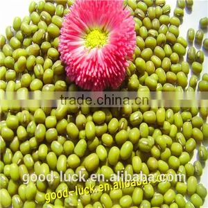 High Quality and Cheap Mung Beans Price thumbnail-4
