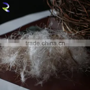 Wholesale 70% Washed Grey Duck Down thumbnail-1