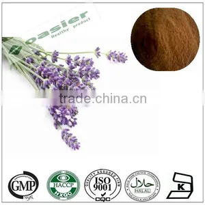Natural GMP Hot Sale Lavandula Pedunculata Extract Powder thumbnail-1