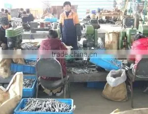 Shaoxing Forward Electrical Equipment Co., Ltd. company overview - view 2 thumbnail