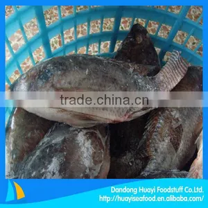 Frozen Fish Tilapia thumbnail-1