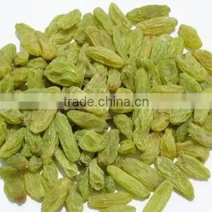 Green Raisin thumbnail-1