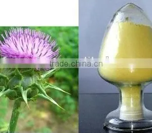Water Soluble Organic 30%-98% Silymarin thumbnail-3