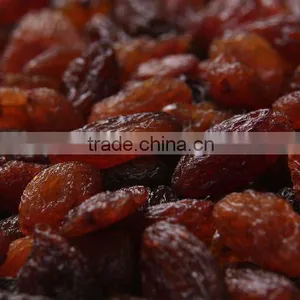 Red Currant thumbnail-1
