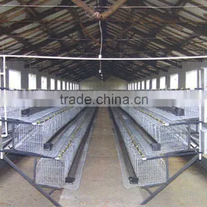 China Factory Produce H Type Baby Chicks Cage thumbnail-6