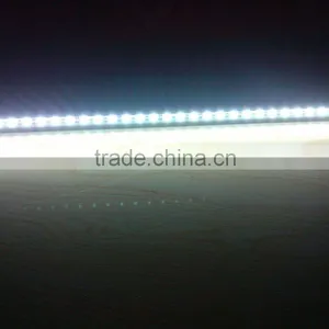 Led Strip 5050warm White /cold White/ Blue Color With Plastic Cover Led Lamp Wholesale CE&RoHS thumbnail-5