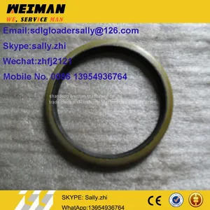 SDLG Pustring, 4043000056, Sdlg Wheel Loader Parts for SDLG Wheel Loader LG956 thumbnail-2
