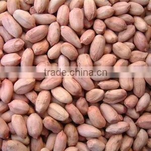 Peanut thumbnail-2