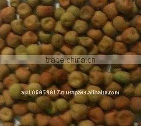 Australian Dun Peas Field Peas Parafield Peas thumbnail-1
