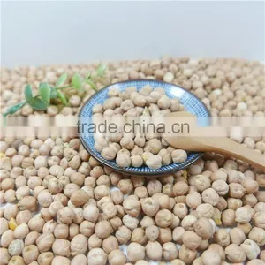 Best Quality Chickpea Market Price HPS Chick Pea Beans thumbnail-3