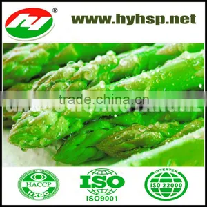 Fresh Frozen Green Asparagus thumbnail-1