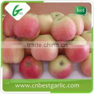 Chinese Fruit Price Fresh Royal Gala Apples for Sale thumbnail-1