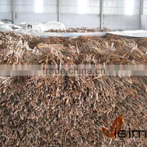 Split Cassia/Cinnamon Vietnam (SKYPE: VISIMEX09) thumbnail-1