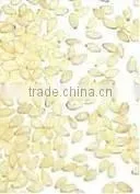 Sesame Seeds thumbnail-1