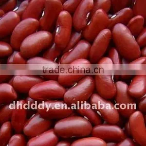 Dark Red Kidney Bean thumbnail-1
