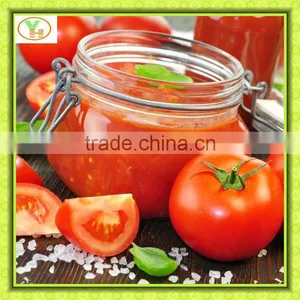 140g-700g Glass Jar Tomato Ketchup Brand Made in China thumbnail-1
