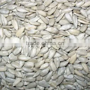 Hulled Sunflower Seeds Kernels thumbnail-1