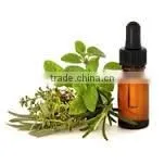 Marjoram Oil thumbnail-1