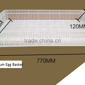 Small Incubator Egg Basket thumbnail-3