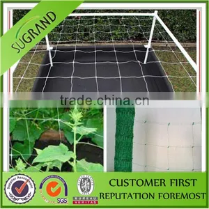 Net for Plant Supporting pp Material thumbnail-1