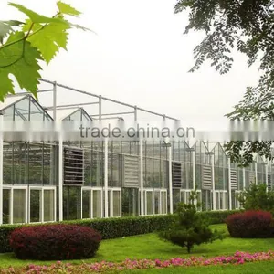 Gutter Connected Greenhouse thumbnail-2