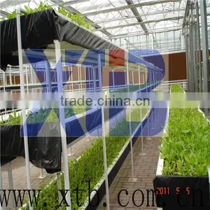 Polycarbonate Sheet Covered Greenhouse thumbnail-1