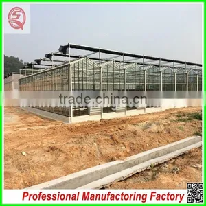 Commercial/agricultural Large Span Glass Green House for Strawberry/tomatoes thumbnail-6