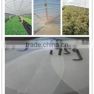 Good Promotion Tunnel Greenhouse Film for Vegetables and Flowers thumbnail-1