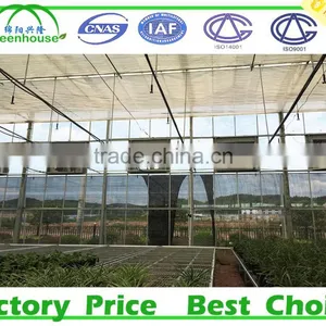 Industrial Exhaust Fan Ventilation Fan for Agriculture Greenhouse thumbnail-3