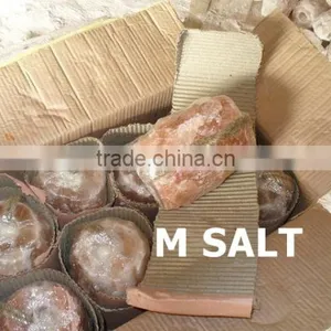 ANIMAL LICKING SALT thumbnail-1