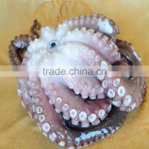 Frozen IVP Octopus Vulgaris thumbnail-2