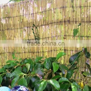Reed Fence thumbnail-4