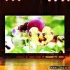 Indoor Full Color LED Display thumbnail-1