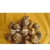 Sell Yellow Pebble Stone thumbnail-1