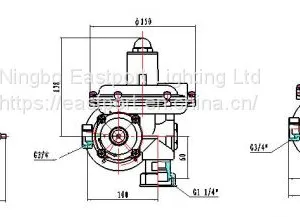 ER50/70 SERIES PRESSURE REGULATORS thumbnail-1
