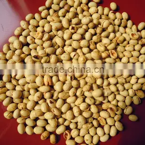 Organic Roasted Soybean thumbnail-1