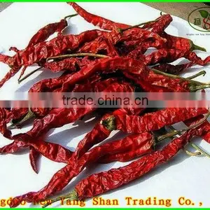 Frozen Red Peppers thumbnail-2