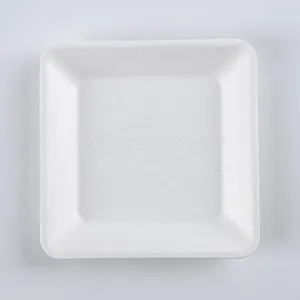 Disposable Biodegradable 6 INCH Square Plate Take Away Sugarcane thumbnail-3