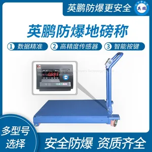 Guangzhou Yingpeng Special Gas Explosion Proof Floor Scale, YPEX-600/15 (YD) 3T thumbnail-1