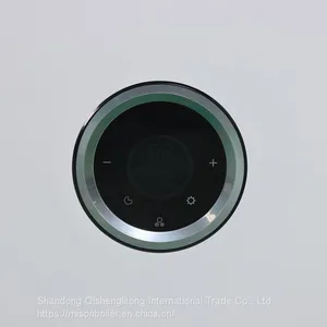 China Factory Gas Wall Hung Boilers Wholesale Price Domestic Lpg Ng Instant Gas Geyser Boiler thumbnail-3