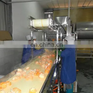 Fruit Juice Plant Industrial Apple Juicer Belt Extractor Machine thumbnail-4