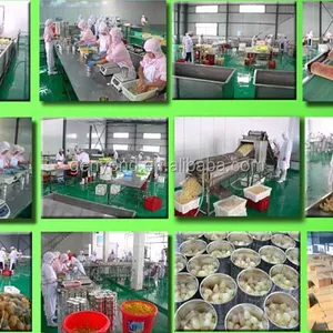 Industrial Factory Pineapple Juice Canned Pineapple Production for Baking and Cooking thumbnail-3